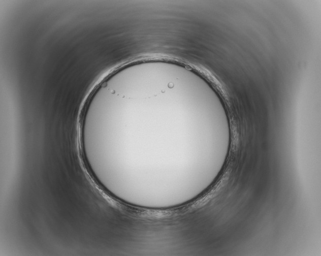 X0000113761286200909230939