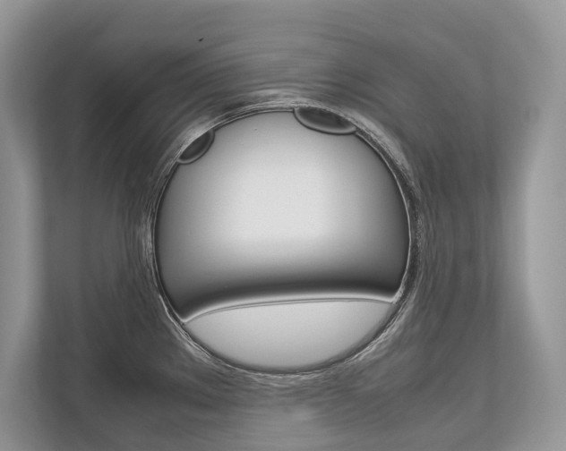 X0000113761289200909230939