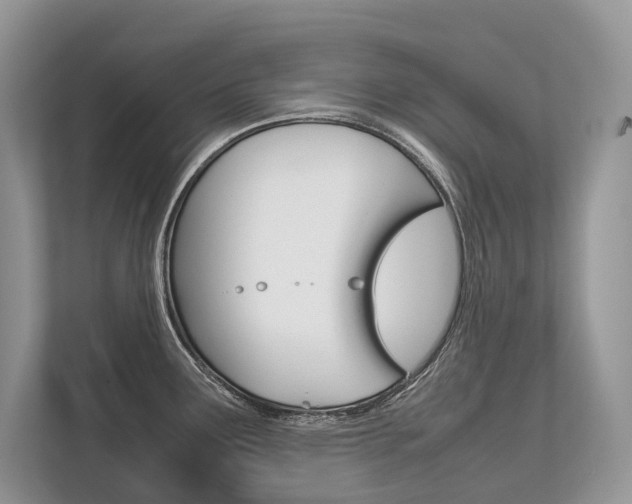 X0000113761291200909230939