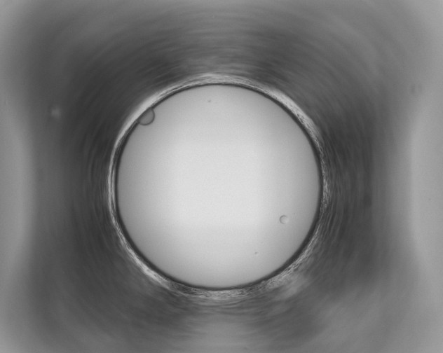 X0000113761294200909230939