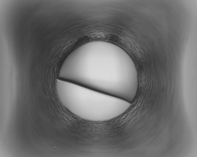 X0000113761297200909230938