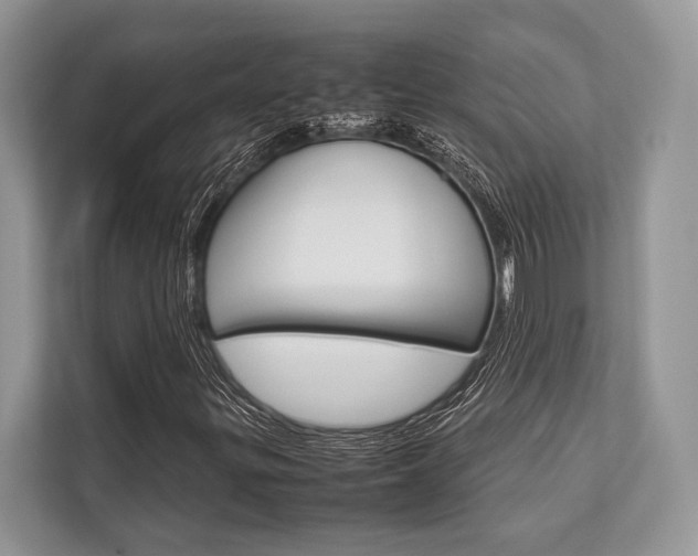 X0000113761299200909230939