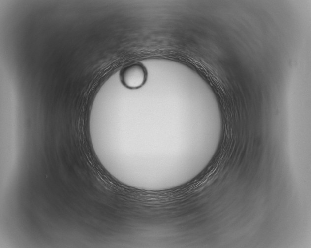 X0000113761300200909230939