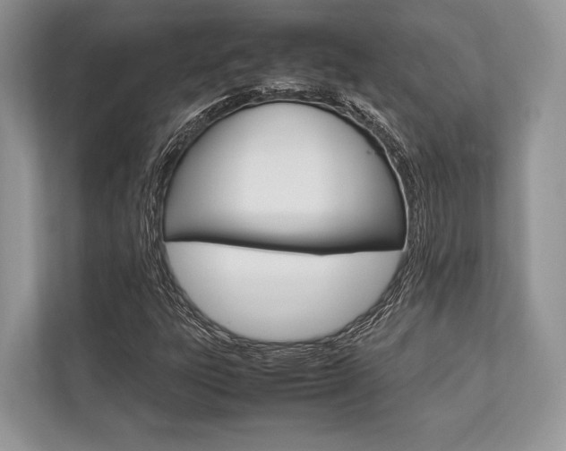 X0000113761303200909230939