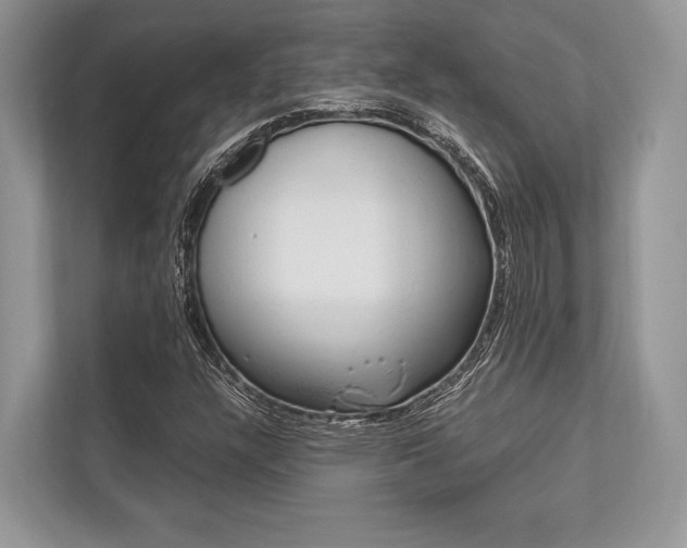 X0000113761304200909230939
