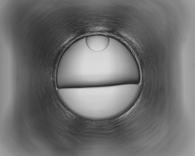 X0000113761305200909230939