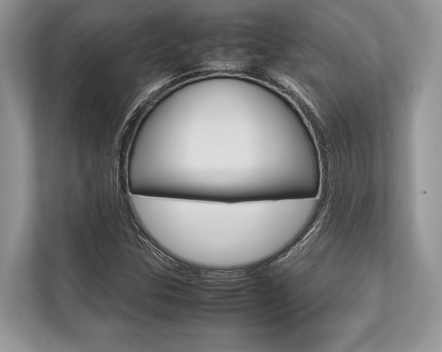 X0000113761307200909230939