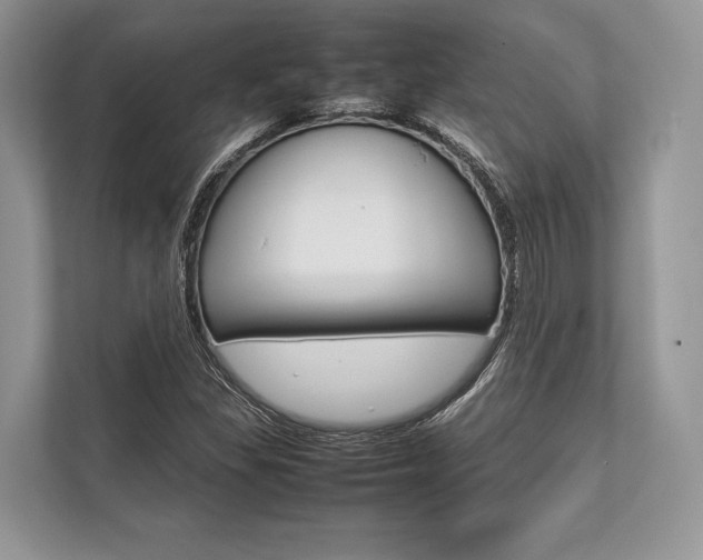 X0000113761309200909230939