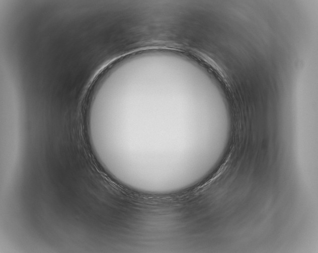 X0000113761310200909230939