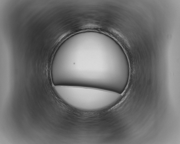 X0000113761313200909230939