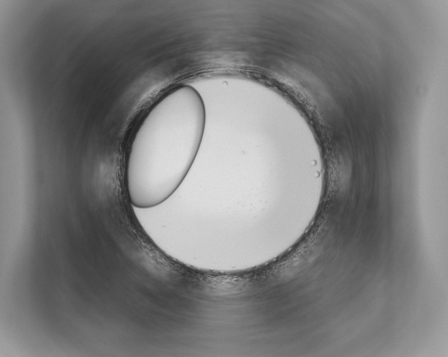 X0000113761314200909230939