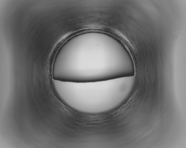 X0000113761315200909230939
