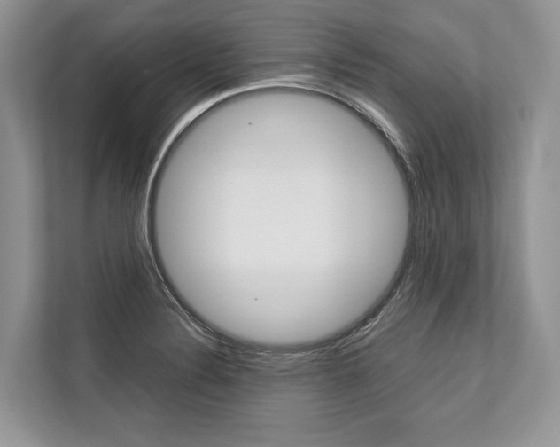 X0000113761324200909230939
