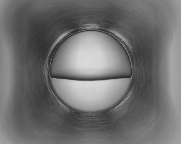 X0000113761325200909230939