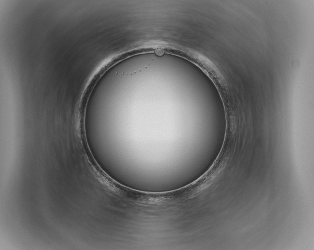 X0000113761326200909230939