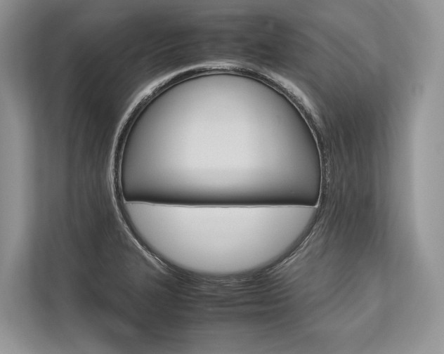 X0000113761327200909230939