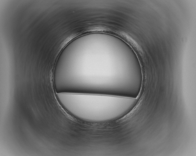 X0000113761329200909230939