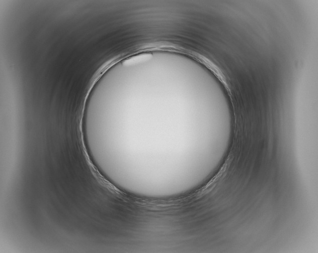 X0000113761330200909230939