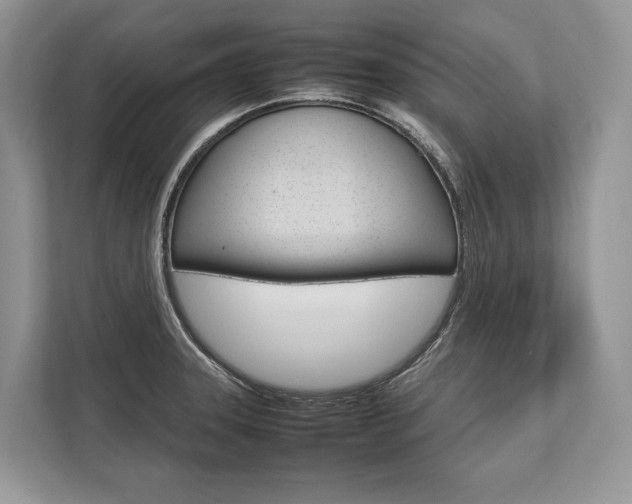 X0000113761331200909230939