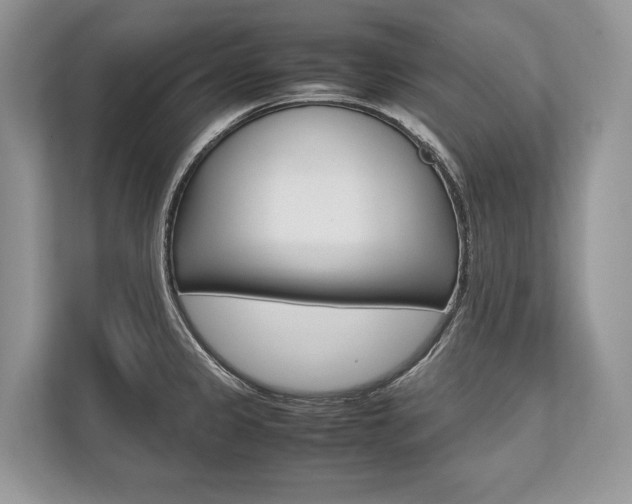 X0000113761333200909230939
