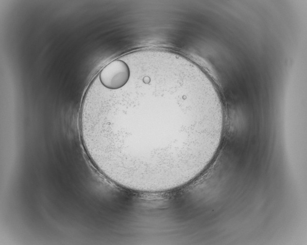 X0000113761338200909230939