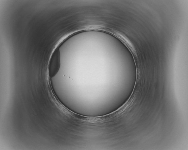 X0000113761340200909230939