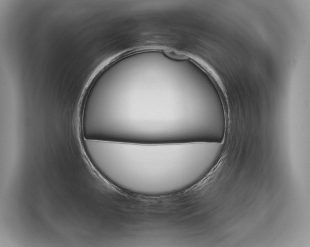 X0000113761341200909230939