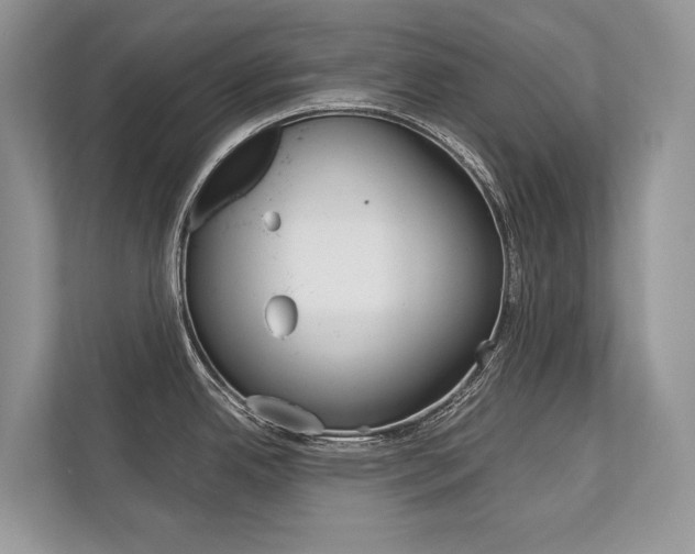 X0000113761342200909230939