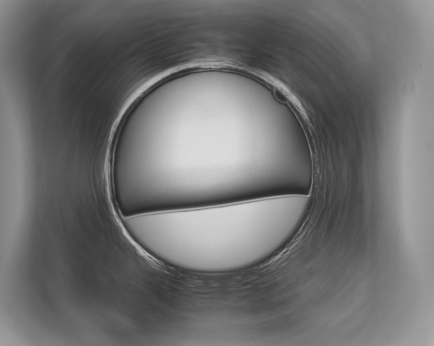 X0000113761343200909230939