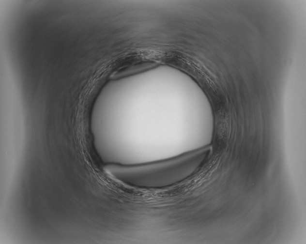 X0000113761345200909230938