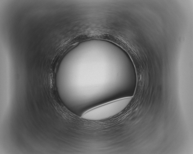 X0000113761348200909230938