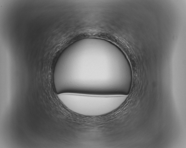 X0000113761349200909230938