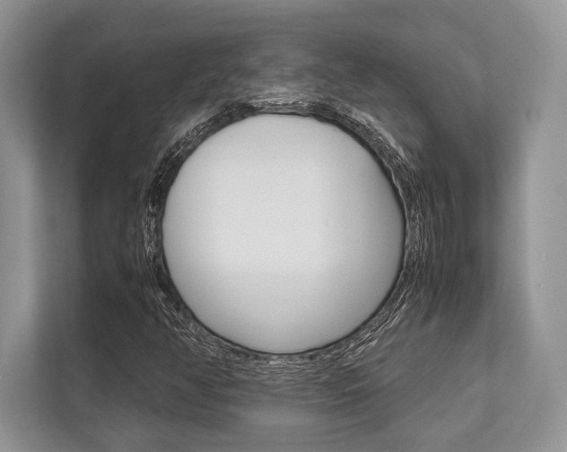 X0000113761350200909230938