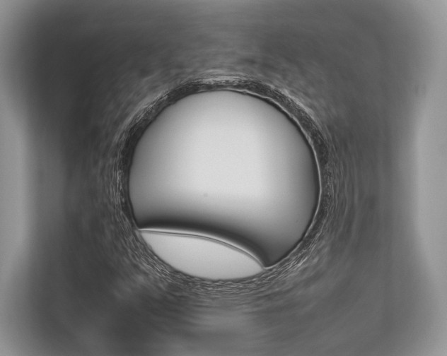 X0000113761351200909230938