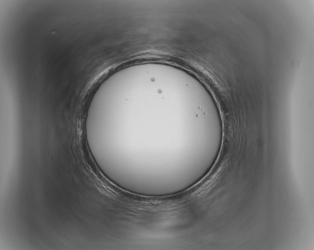 X0000113761355200909230938