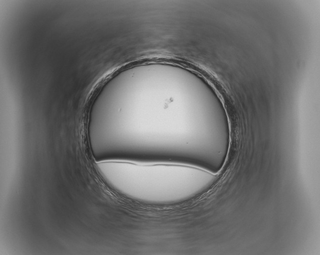 X0000113761359200909230938