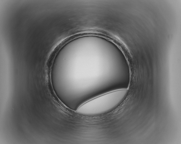 X0000113761360200909230938