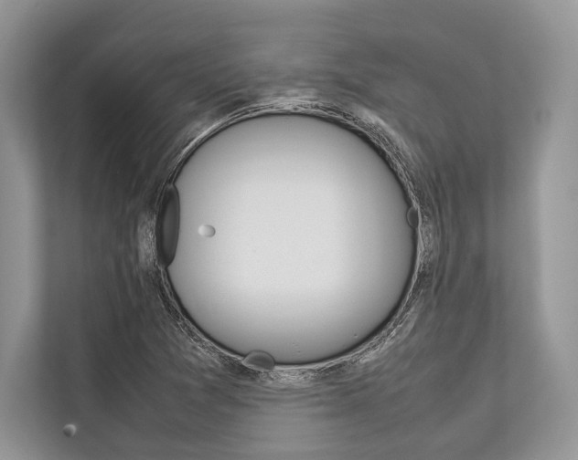X0000113761361200909230938