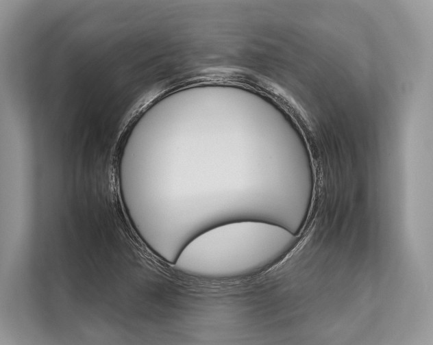 X0000113761362200909230938