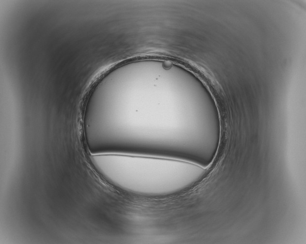 X0000113761363200909230938