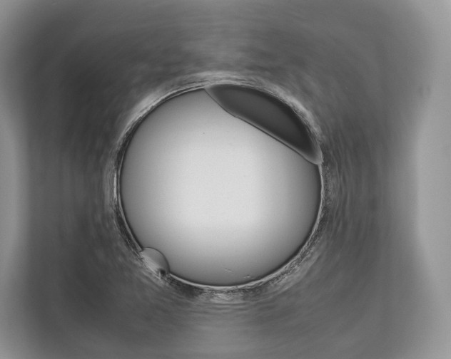X0000113761365200909230938