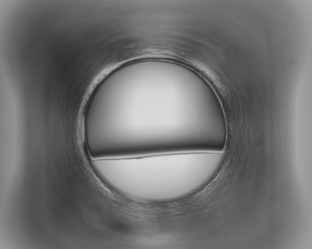 X0000113761371200909230938
