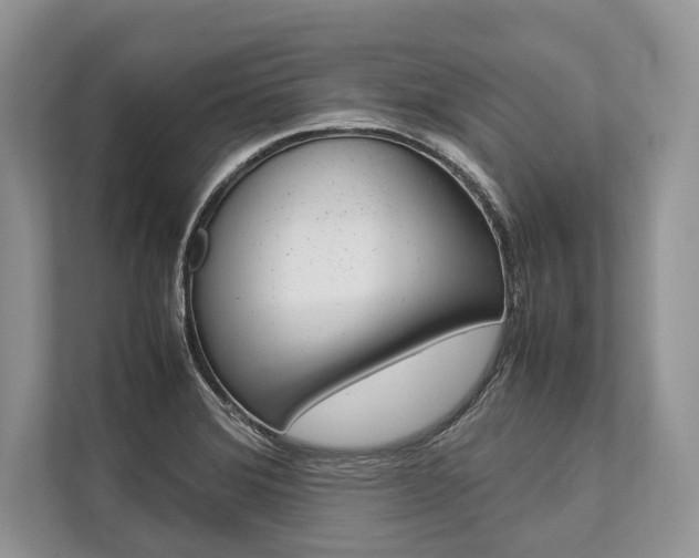 X0000113761372200909230938