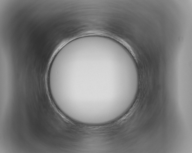 X0000113761373200909230938