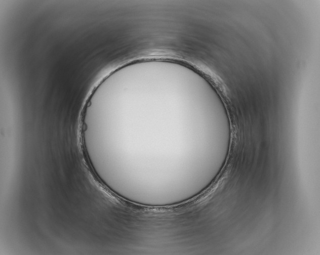 X0000113761374200909230938