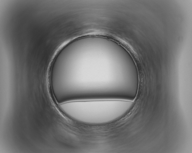 X0000113761375200909230938