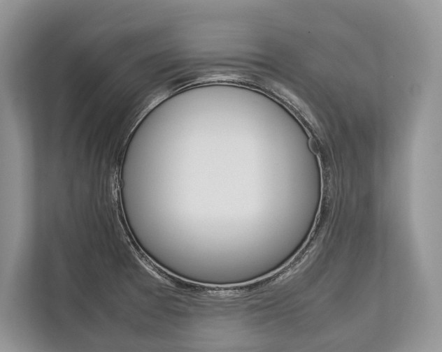 X0000113761377200909230938