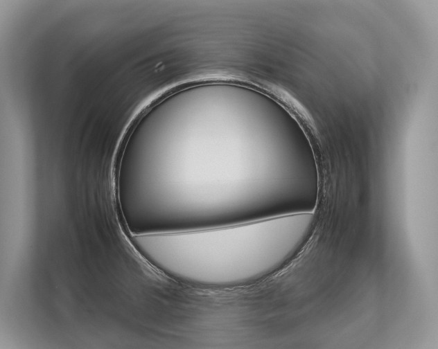 X0000113761380200909230938