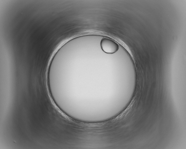 X0000113761381200909230938