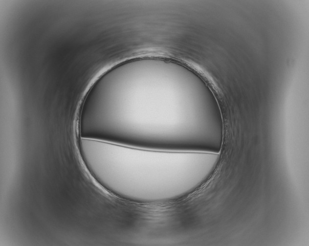 X0000113761383200909230938